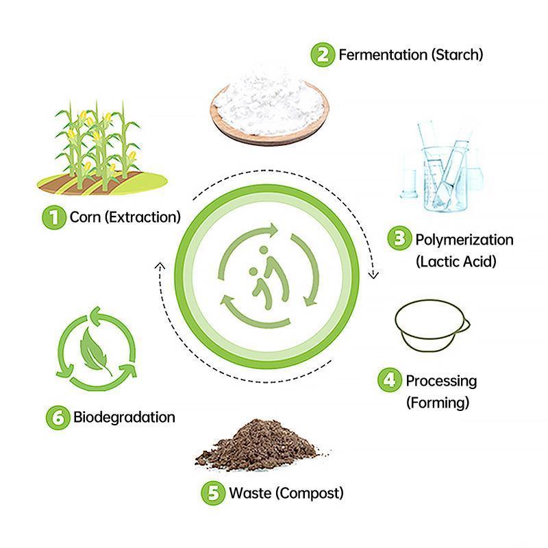 50PCS Biodegradable Corn Starch Lunch Box Round Takeout Containers Eco Friendly - 750ml